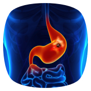 کلینیک تخصصی هدرا HedraClinic.ir