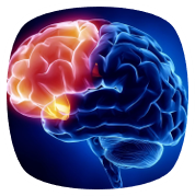 کلینیک تخصصی هدرا HedraClinic.ir