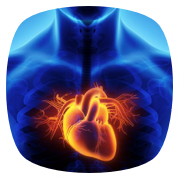 کلینیک تخصصی هدرا HedraClinic.ir